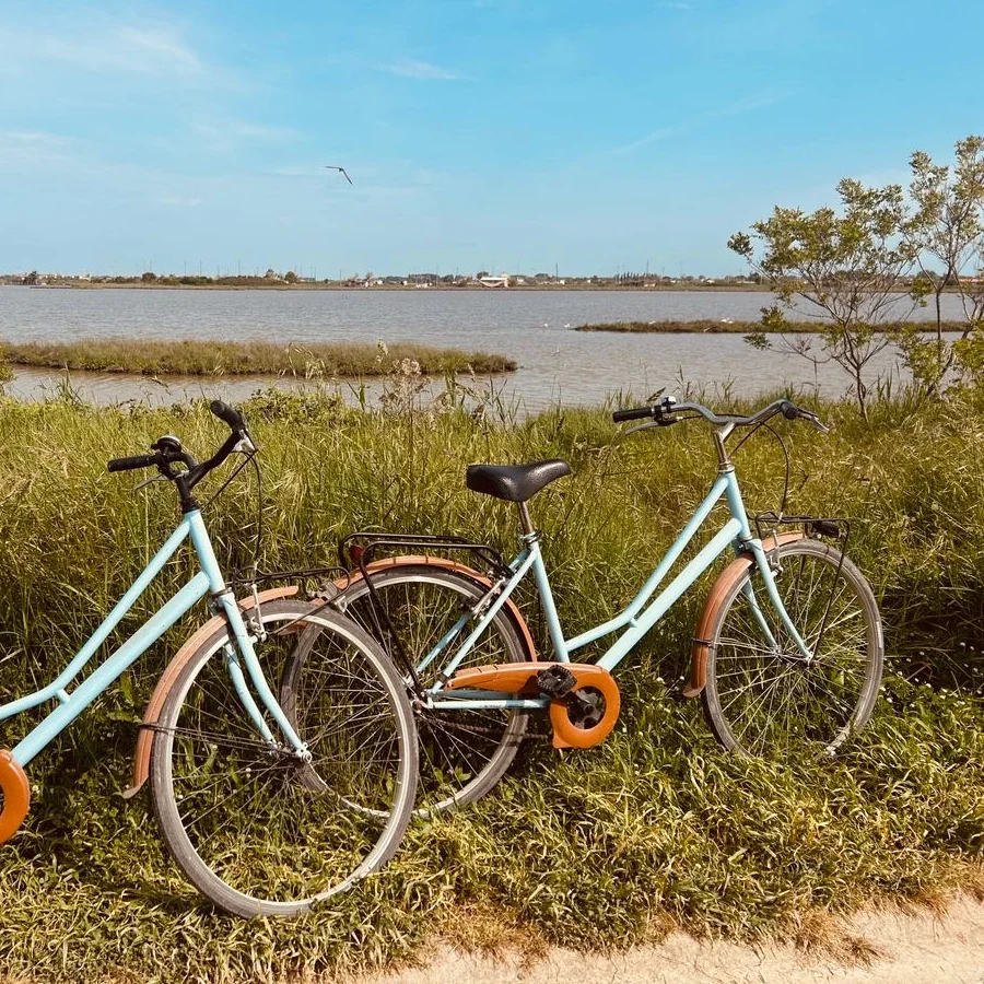actieve-activiteiten-fietstocht